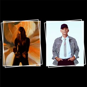 vignette-paradis+roussel-HD